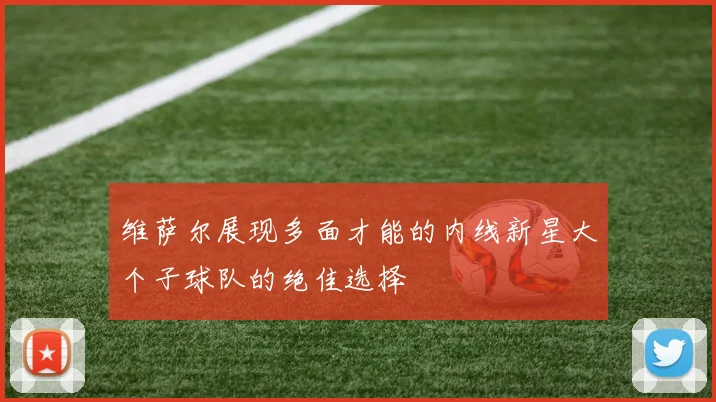 维萨尔展现多面才能的内线新星大个子球队的绝佳选择